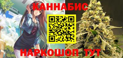 сатива Моздок