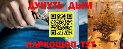 сатива Моздок