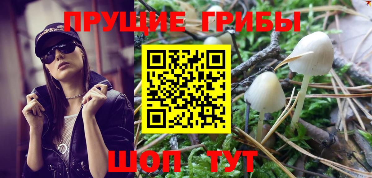 Соль-Илецк  Галлюциногенные грибы мицелий  Галлюциногенные грибы MAGIC MUSHROOMS  Вход с VPN 