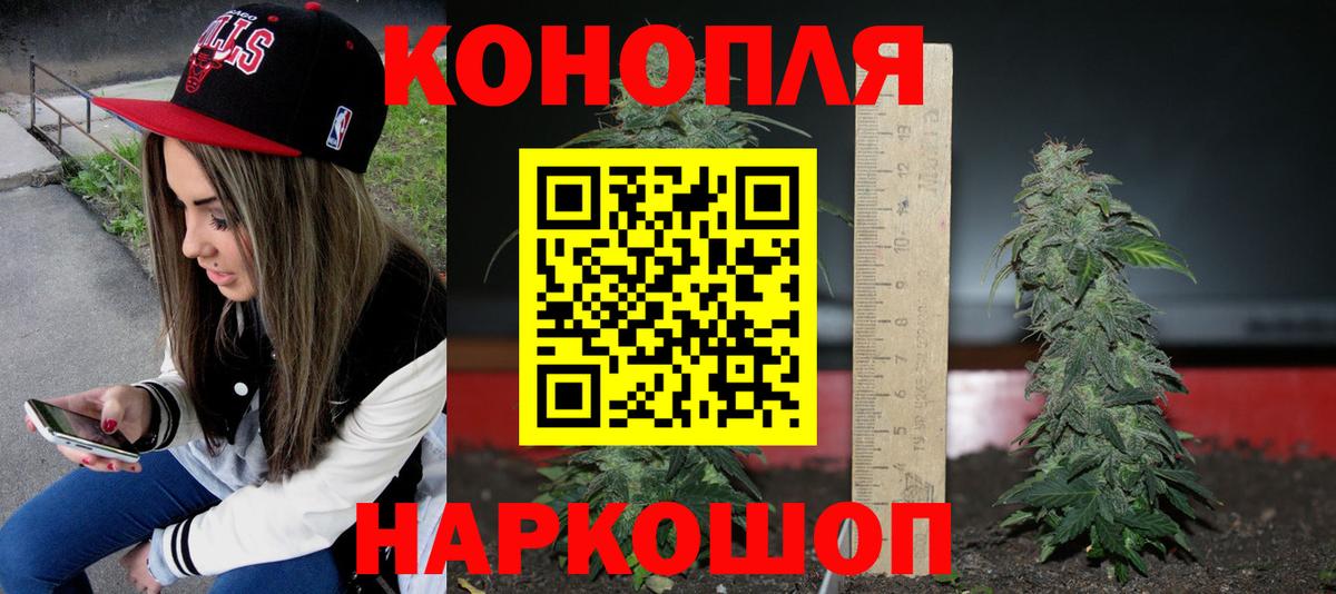 Бошки марихуана индика  Вход с VPN  Соль-Илецк  Канабис сатива  Каннабис план 